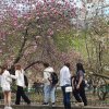 Виїзне заняття з курсу «Захист України»