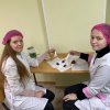 Засідання наукового гуртка 