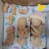 Зустріч із консультантом-психологом МБФ «Дар життя»