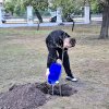 Екологічна акція з висадження дубів у пам`ять про захисників України