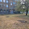 Екологічна акція з висадження дубів у пам`ять про захисників України