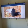 Мінна безпека “ПОМІЧАЙ, ОМИНАЙ, ПОВІДОМЛЯЙ