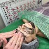 Засідання гуртка «Косметична хімія» (03.02.2025)