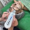 Засідання гуртка «Косметична хімія» (03.02.2025)