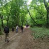 Навчальна (педагогічна) практика «Літній табірний збір» студентів 3 курсу денної форми навчання зі спеціальності 014.11 Середня освіта освітньо-професійної програми 014.11.01 Фізична культура