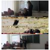Засідання наукового гуртка з журналістики «Дискурс» на тему «Memento mori»