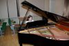koncert-ckorik6
