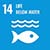 SDG 14 min